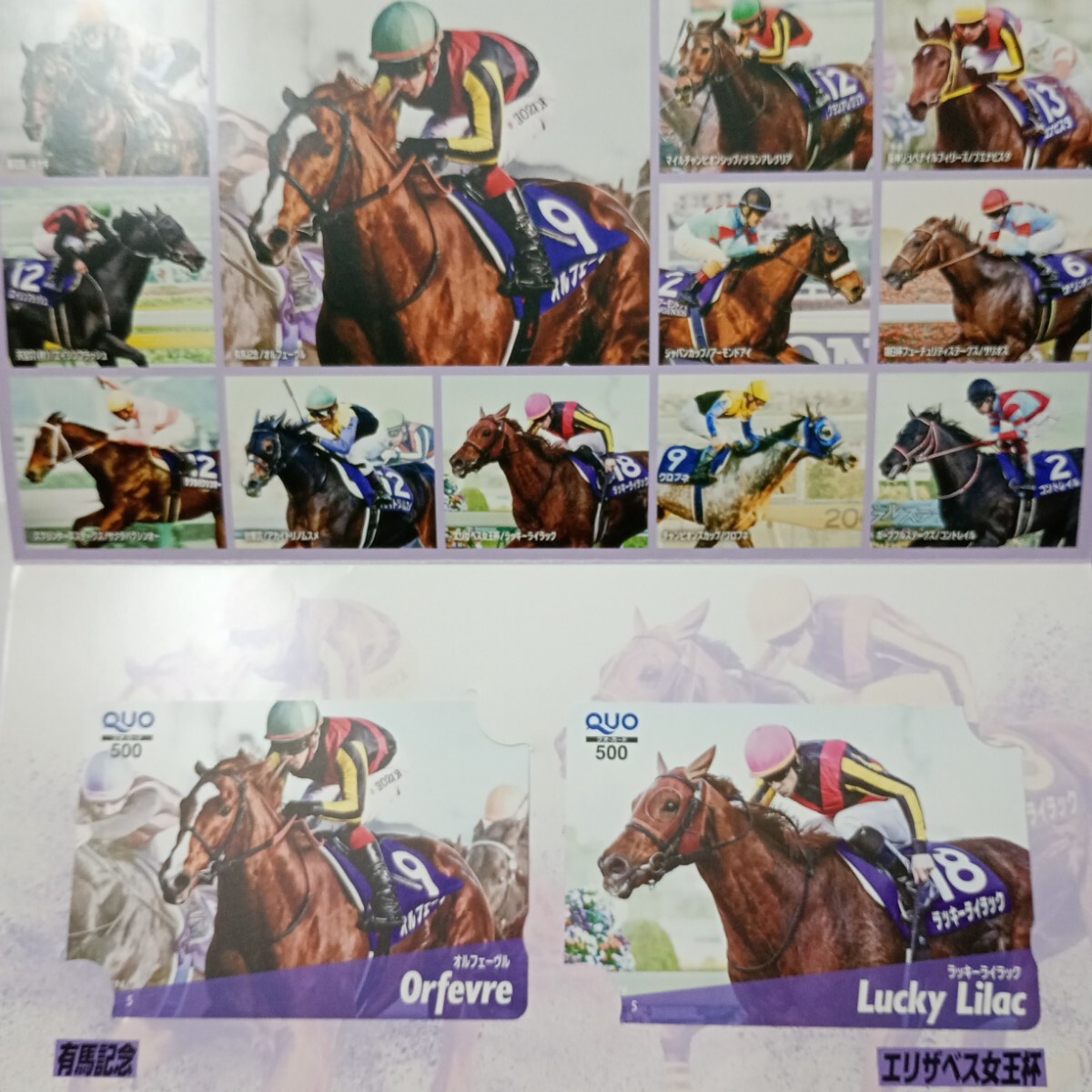 G1エリザベス女王杯2019優勝記念ブックレット【非売品・未開封】 G1エリザベス女王杯2019優勝記念ブックレット【非売品・未開封】