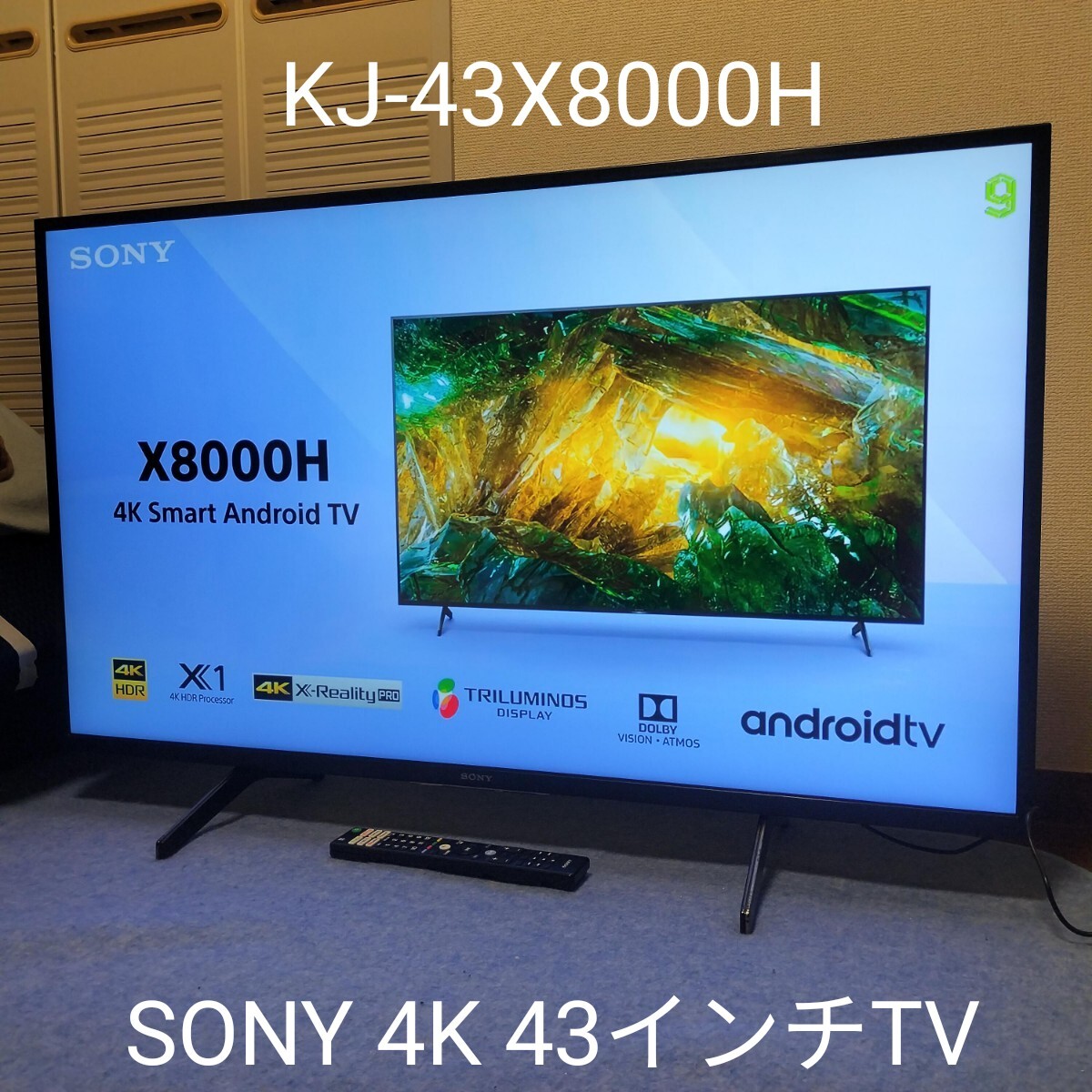 SONY BRAVIA 43インチ KJ-43X8000H 4K液晶テレビ