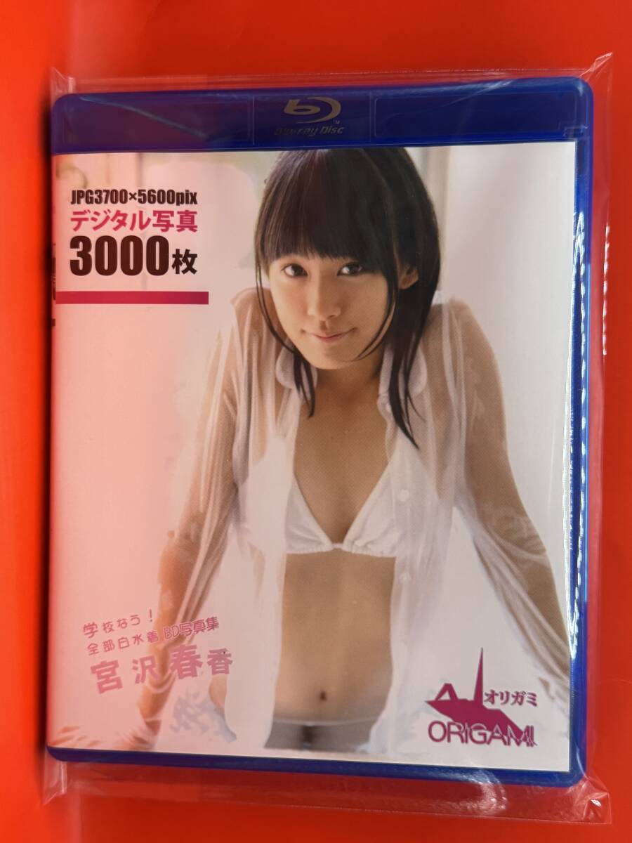 ジュニアアイドル宮沢春香 
