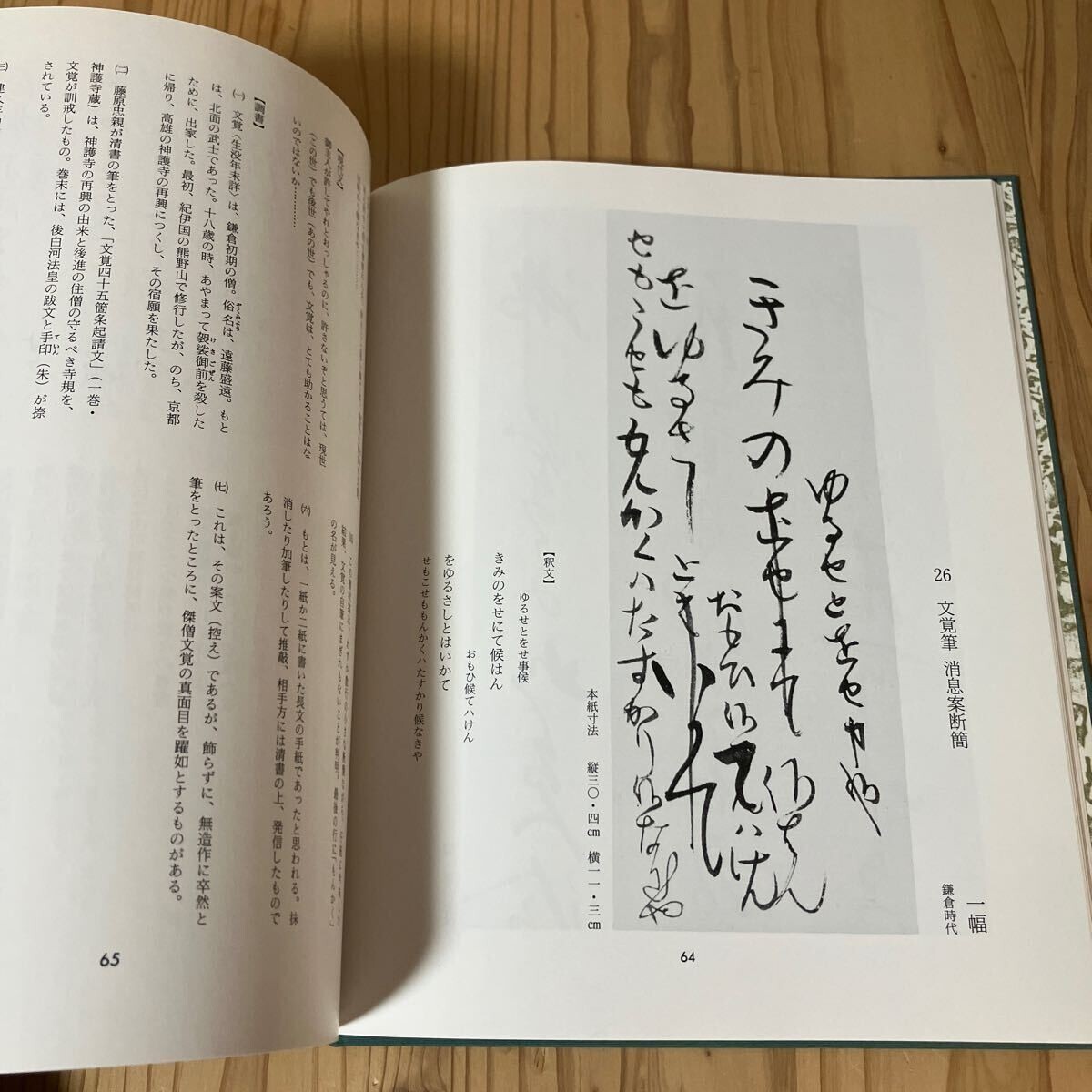 伝説の参考書】物理特講90 坂間勇著 旺文社 （Amazon.co.jp