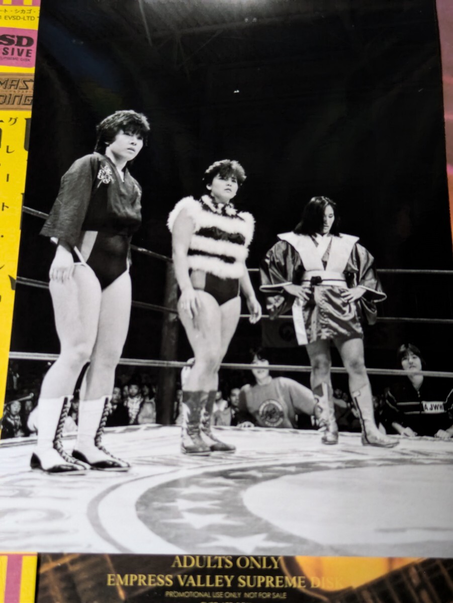 プロレス用DVDケース3枚 下田美馬②特集 全日本女子プロレス 全女 プロレス用DVDケース3枚立野記代②タッグ特集 全日本女子プロレス