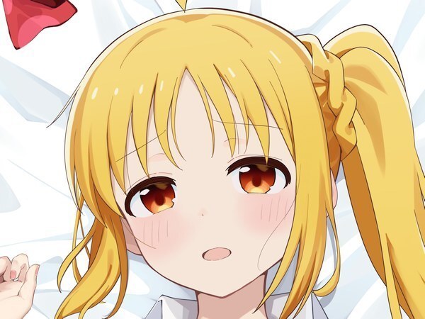 負けヒロイン　八奈見杏菜　抱き枕カバー【未開封新品】Z-M Pillows 正規品 SJ有 八奈見杏菜 メインマケイン 抱き枕カバー 飛梅さゆ