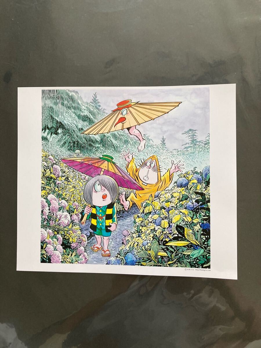 貴重品】水木しげる サイン色紙 カッパの三平 漫画家 ショップ 水木