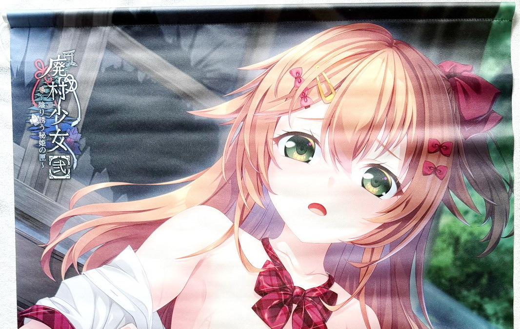 姫と穢欲のサクリファイス ソフマップ 特典 B2タペストリー B-銀河 瑠奈璃亜 遊丸 はっとりまさき 蒼瀬 Escu:de エスクード sofmap 未開封 姫と穢欲のサクリファイス B2タペストリー テレサ・エルミニア