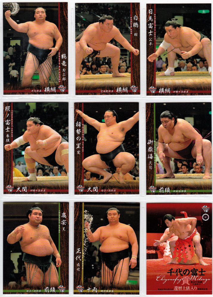 大相撲 力士 手形 サイン 色紙12枚 貴乃花 日馬富士 朝青龍 武蔵丸