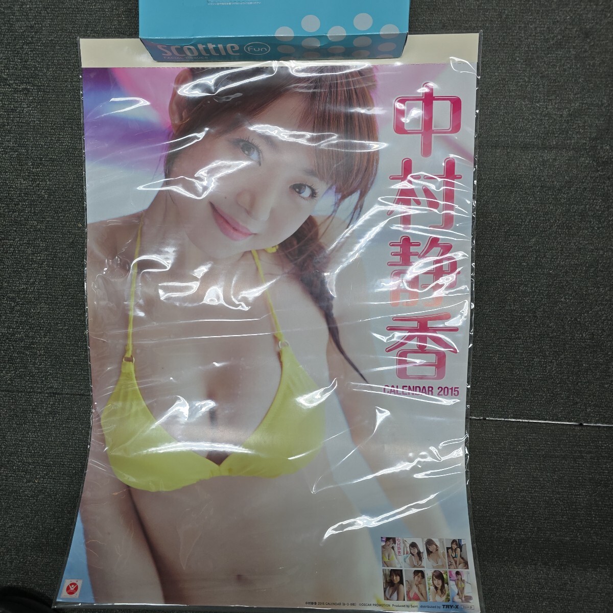 傷や汚れあり】6△/か0060 撮影 : 中村吉之介 モデル :白石さおり 1991