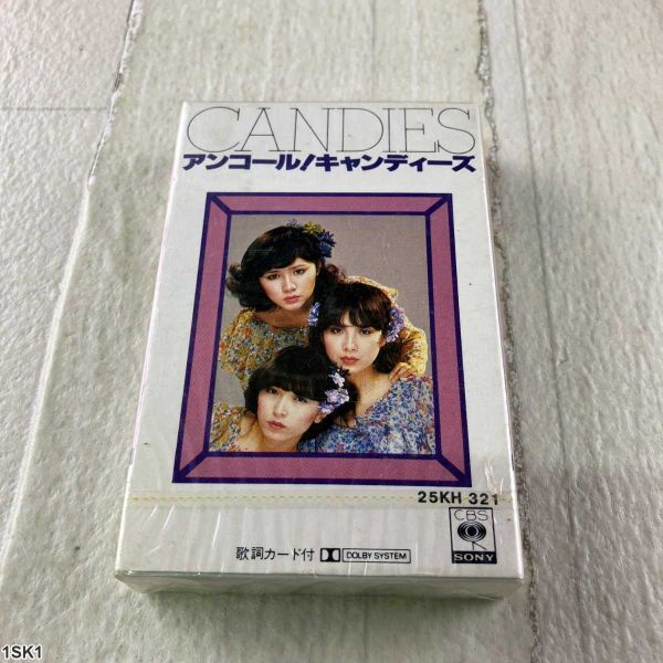 キャンディーズ ポスター/夏が来た！/1976年/販促品/非売品/CBSソニー