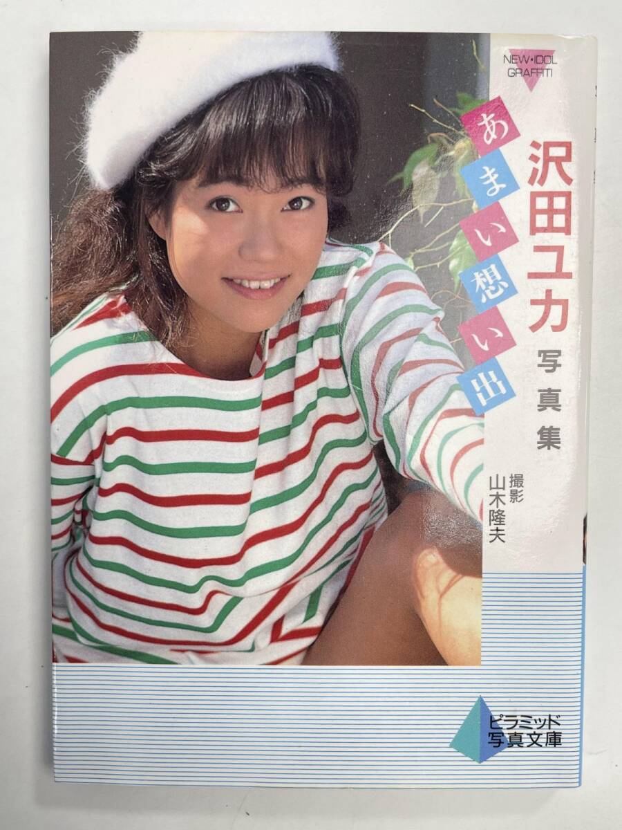 小さなヴァイオリンが欲しくて 永井陽子　歌集　砂子屋書房 Amazon.co.jp: 小さなヴァイオリンが欲しくて: 永井陽子歌集 : 永井