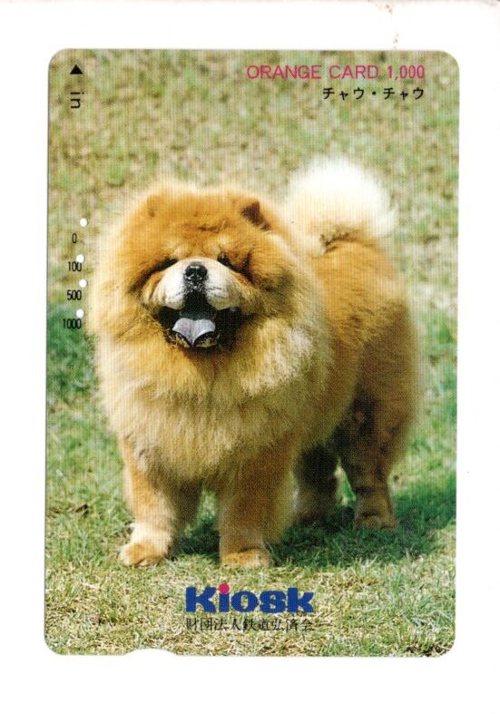 ☆チャウ犬 三英 90年代 日本製 大きめの ぬいぐるみ しっかりした作り