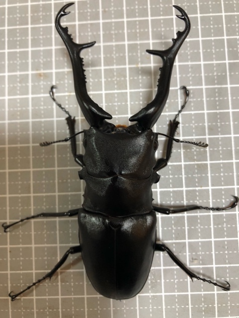新品】新甲虫王者 ムシキング 超神化 4弾 SGR ギラファ