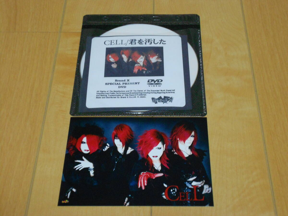 中古】【La'Mule ラムール 物販写真 ⑤ アー写 6枚セット】 CELL