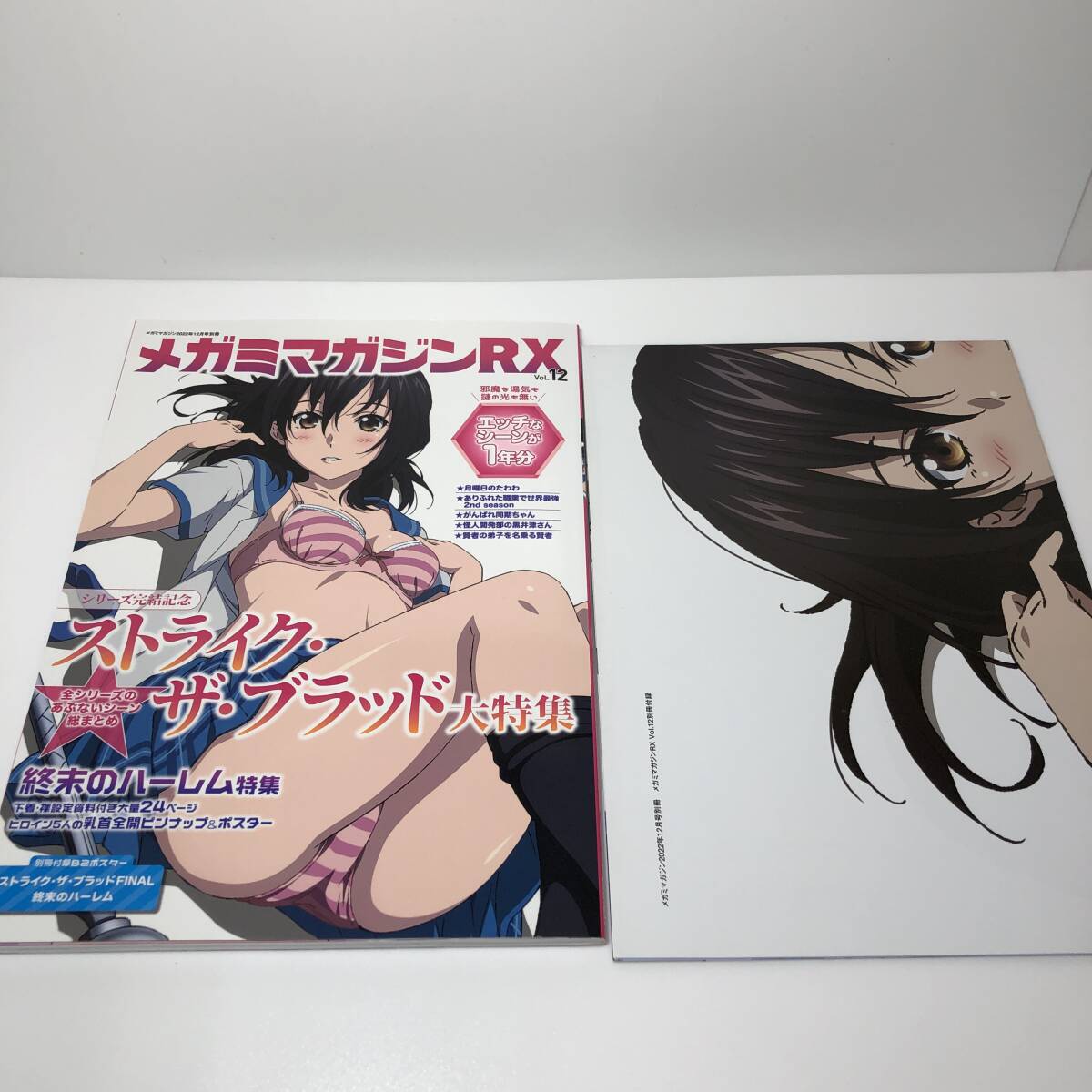 ストライク・ザ・ブラッド 全話まとめ見Blu-ray アニメイラスト描き