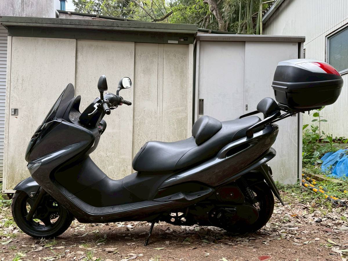 マジェスティC(SG03J-063***)ワンオフの30~40cm?ロンホイ☆ロンスイ マジェスティC(SG03J-063***)ワンオフの30~40cm?ロンホイ☆ロンスイ