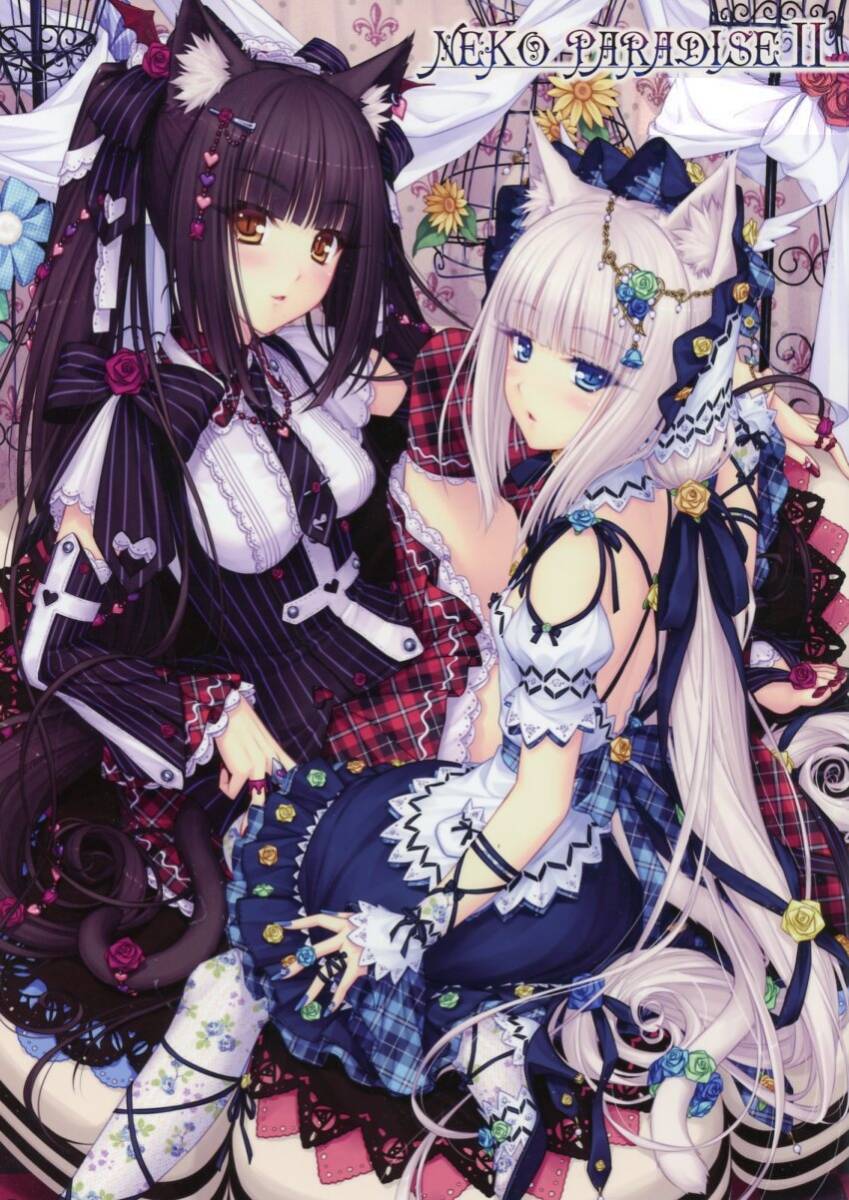 目立った傷や汚れなし】NEKO WORKs(さより/『NEKO PARADISE II』/ネコ