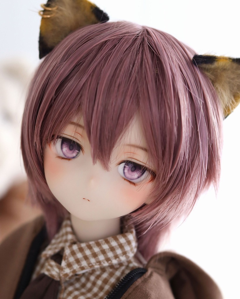 DDH09(SW肌)カスタムヘッド＋アイ＆ウィッグ【FW】の落札情報詳細