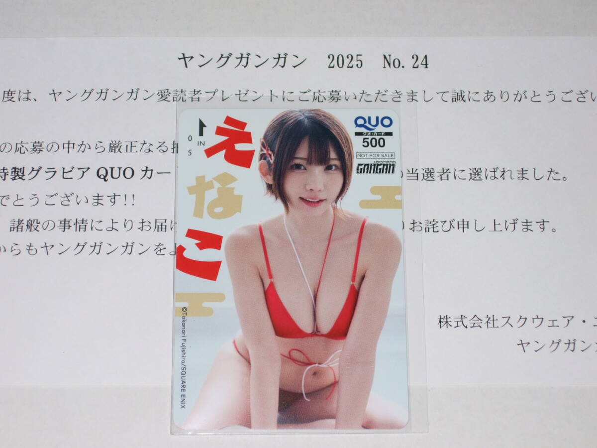 2009年 ヤングガンガン 11月20日号 特別付録 南明奈 山本梓 小池里奈