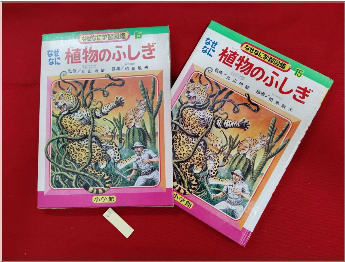 なぜなにからだのふしぎ なぜなに学習図鑑9 小学館 初版 箱付 レアの