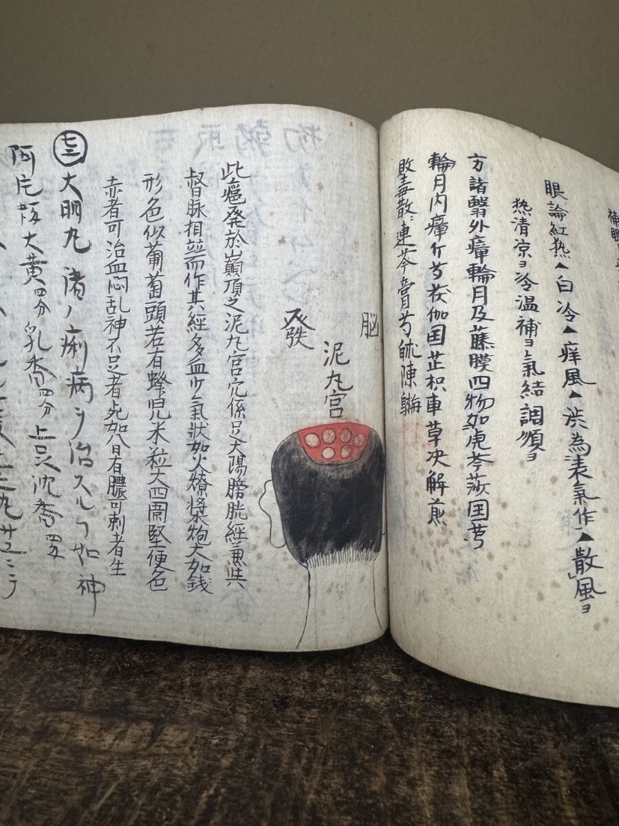 和本 腹証奇覧 2冊 中国 医学書 鍼灸 漢方 東洋医学 解剖図 奇形 人体