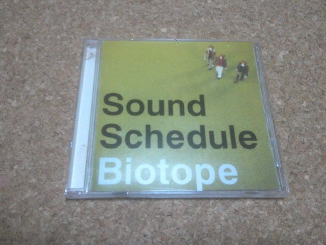 希少 Sound Schedule Live Tour PLACE 2012 中古DVD 大石昌良 オーイシ