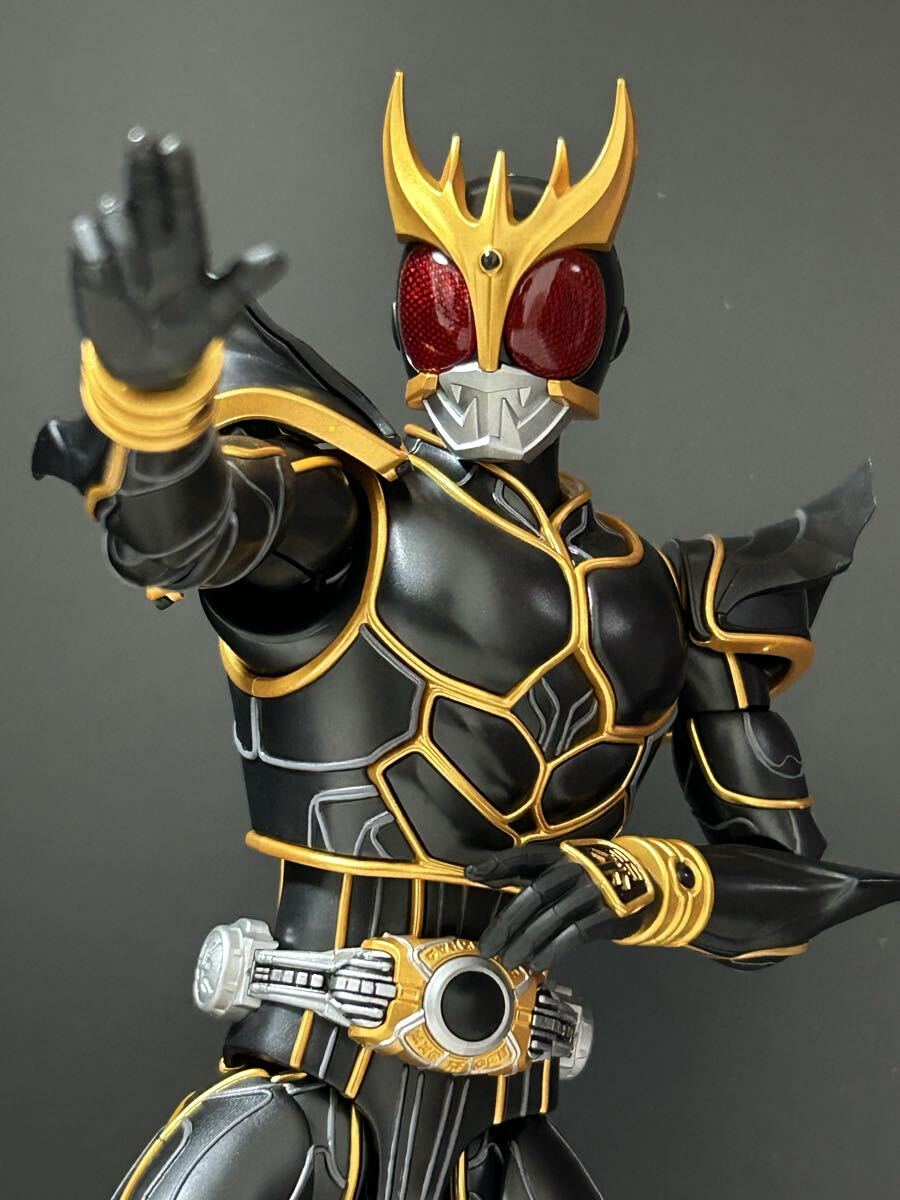 新品】 HG C.O.R.E 仮面ライダーZX サザングロス 改造 リペイント 完成