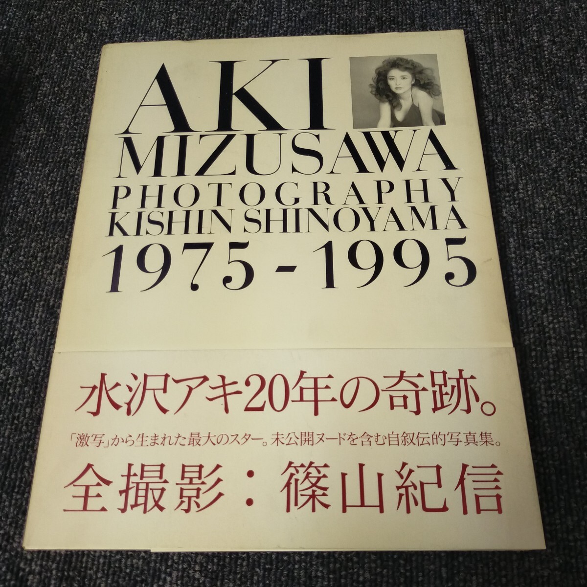 水沢アキ 写真集 AKI MIZUSAWA 1975-1995 激写文庫 篠山紀信 の落札