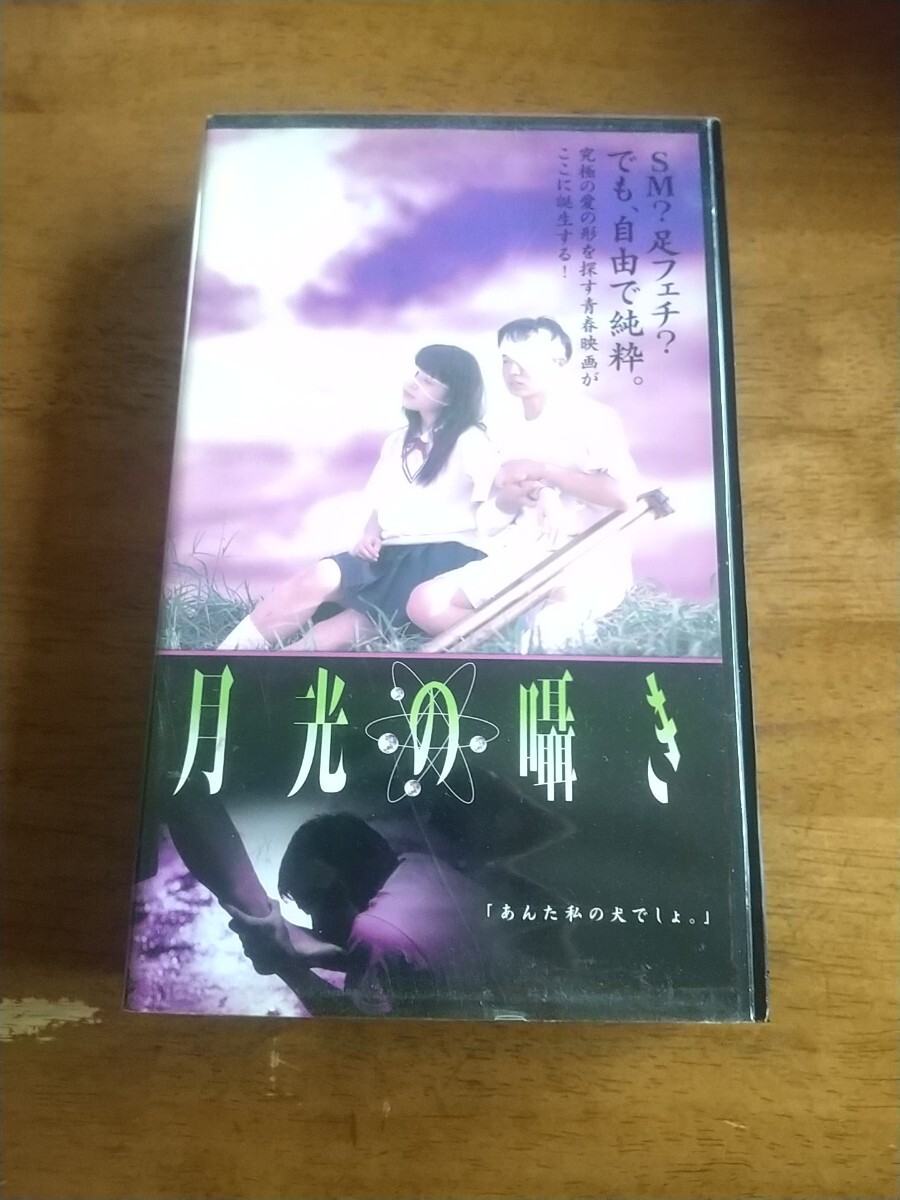 G00018877/【邦画】DVD/塩田明彦(監督)「月光の囁き」の落札情報詳細