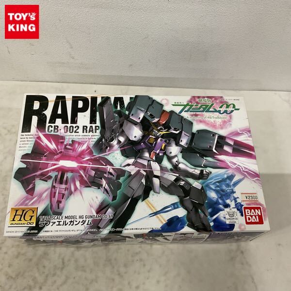 jimHG ラファエル＆セラヴィーⅡの塗装完成品 HG ラファエルガンダム＋