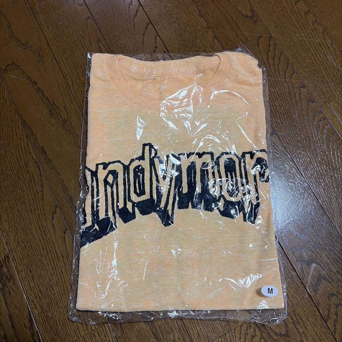 andymori Tシャツ サイズXL 小山田壮平 アンディモリ タイダイ柄