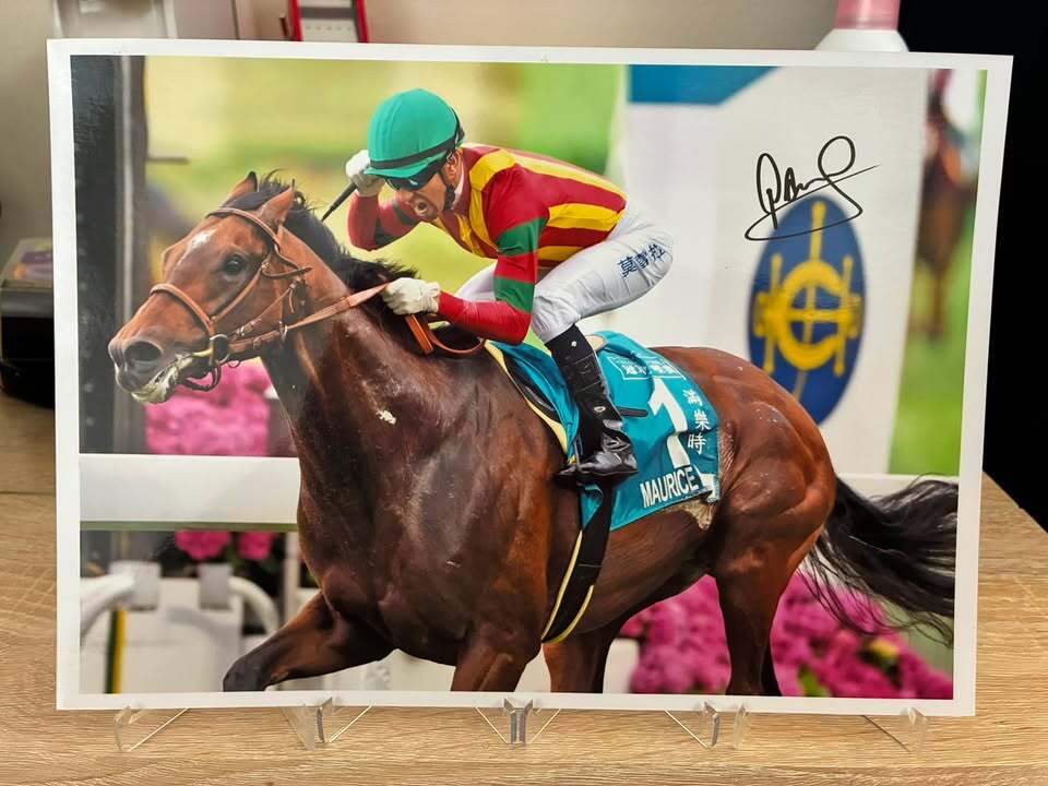 JRA】荻野 琢真 騎手 直筆サイン入り 色紙 競馬の落札情報詳細 - Yahoo