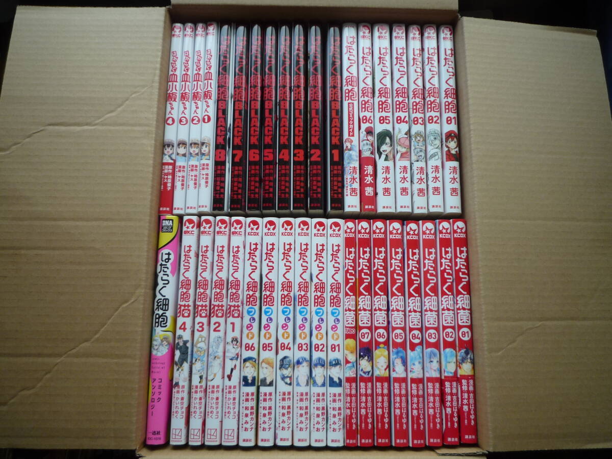 はたらく細胞 全5巻・フレンド1・BLACK・はたらかない細胞1・細菌3～5