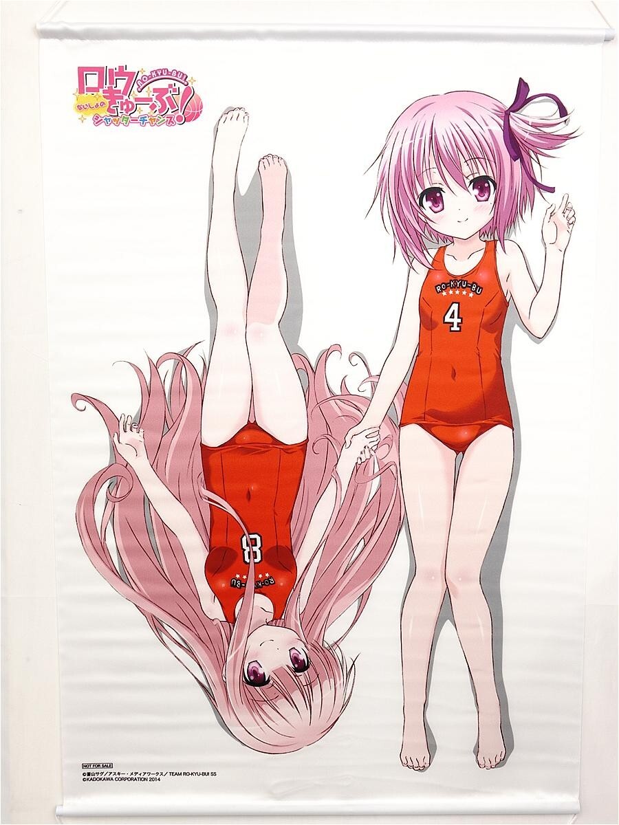 新品】湊智花 袴田ひなた 描き下ろし B2 タペストリー PSPソフト ロウ