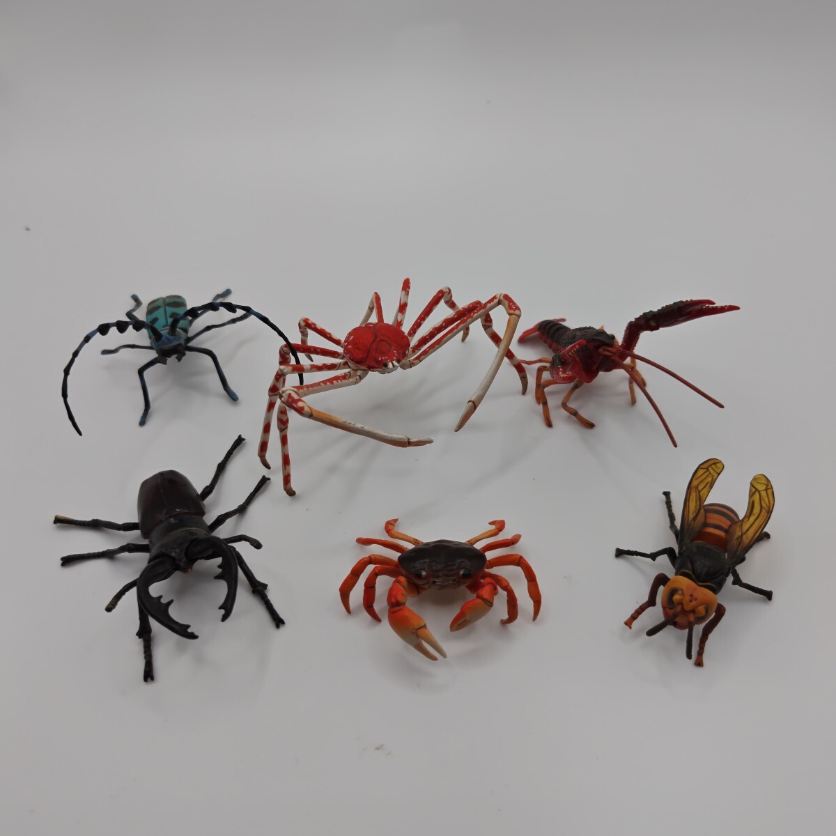 1円スタート!! ネイチャーテクニカラー 海遊館ミュージアム