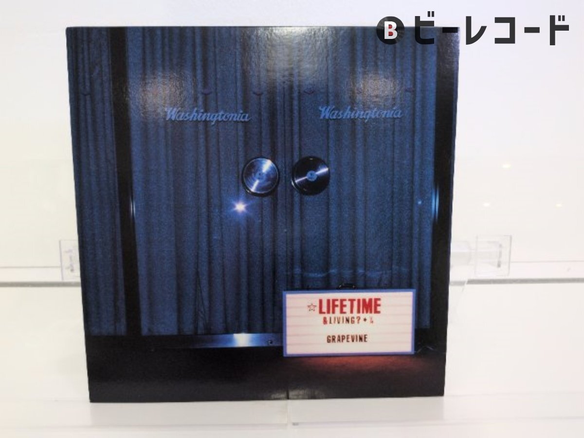 新品】□ グレイプバイン GRAPEVINE [ ライフタイム Lifetime ] 新品