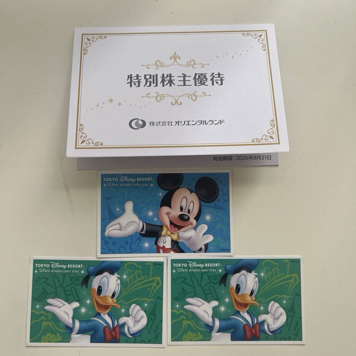 希少☆ディズニー15周年記念プレミアムパスポート 額縁付き 新品】【希少・未使用】東京ディズニーランド 15周年記念 ディズニー
