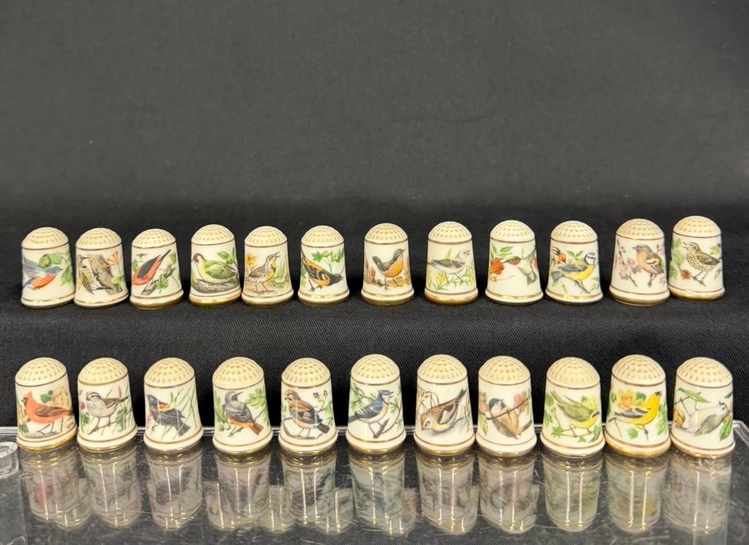 m619] FRANKLIN PORCELAIN 蝶づくし 花瓶 John Wilkinson フランクリン