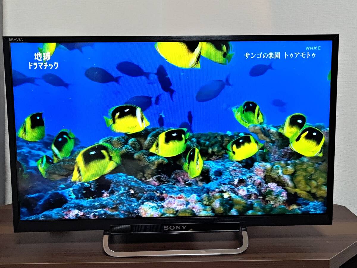 SHARP シャープ AQUOS LC-32H11 32インチ LED 液晶テレビ 32型 2014年