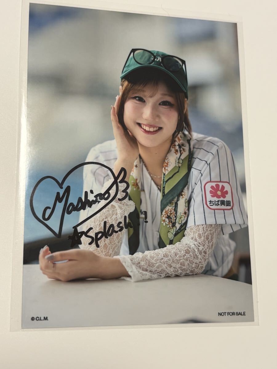 BBM チアリーダー 直筆サイン 2026 千葉ロッテ MASHIRO チェキ