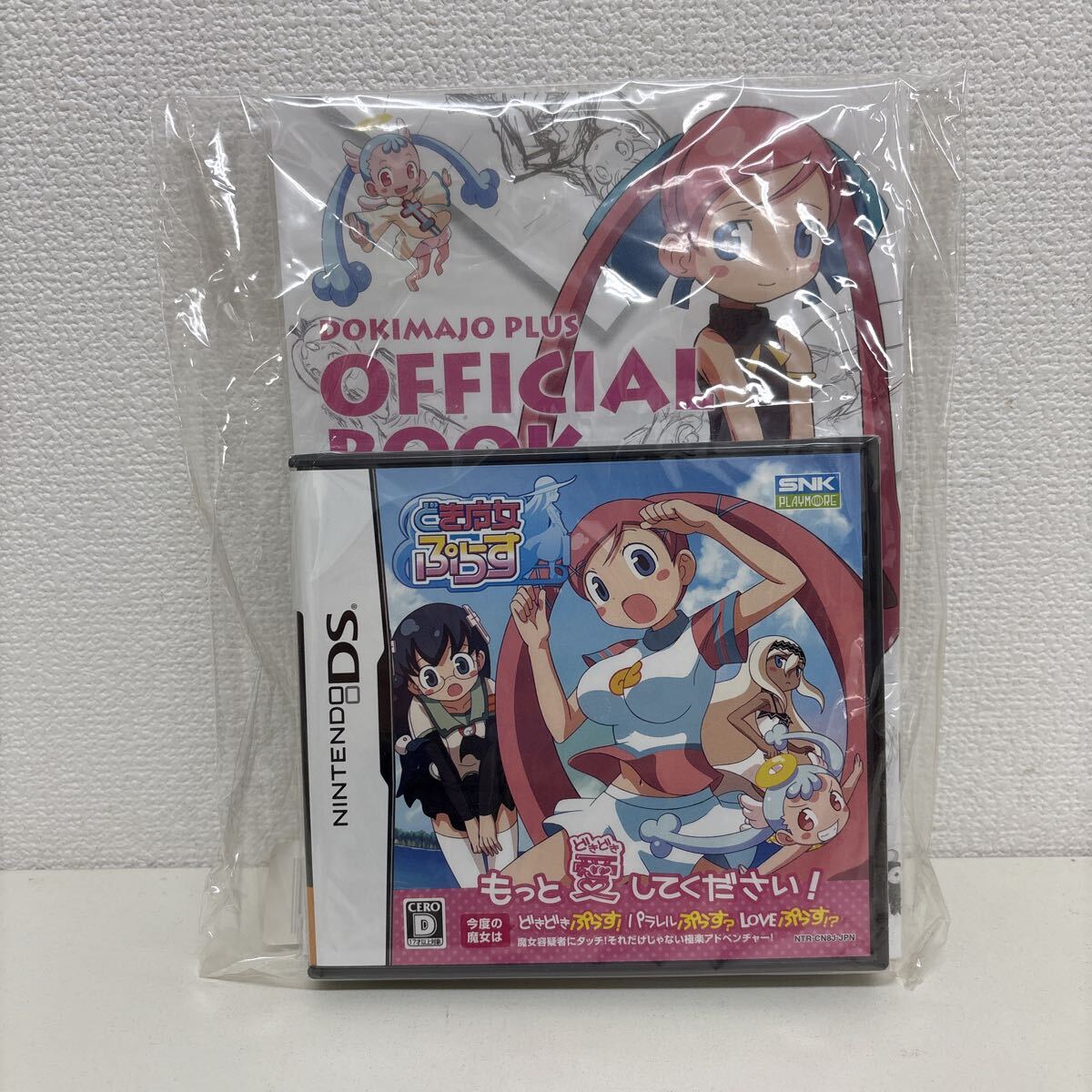 新品】J5/SISTERS 夏の最後の日 Ultra Edition Official Funbook 1990