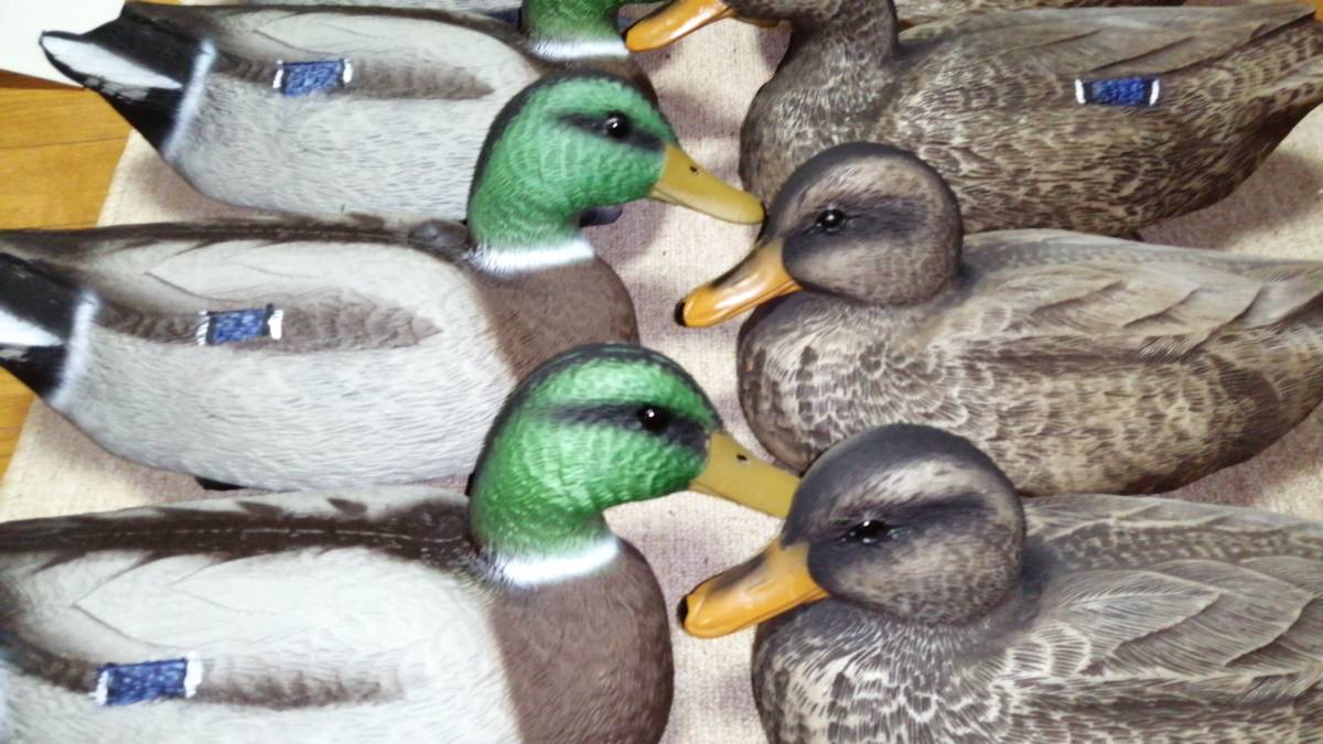 新品 大きい鴨デコイ 12個 鴨 カモ デコイ ダックデコイ 狩猟 ハンティング おとり 囮 マガモ 真鴨 鴨猟 カモ猟 鴨撃ち の落札情報詳細 ヤフオク落札価格情報 オークフリー スマートフォン版