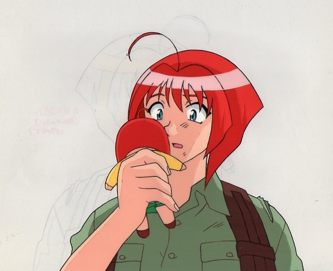 マスターモスキートン セル画 本物！ イナホ ソロ マスターモスキート