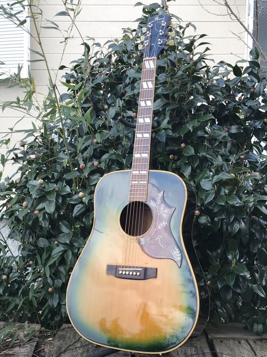 Pearl HummingBird Model   '