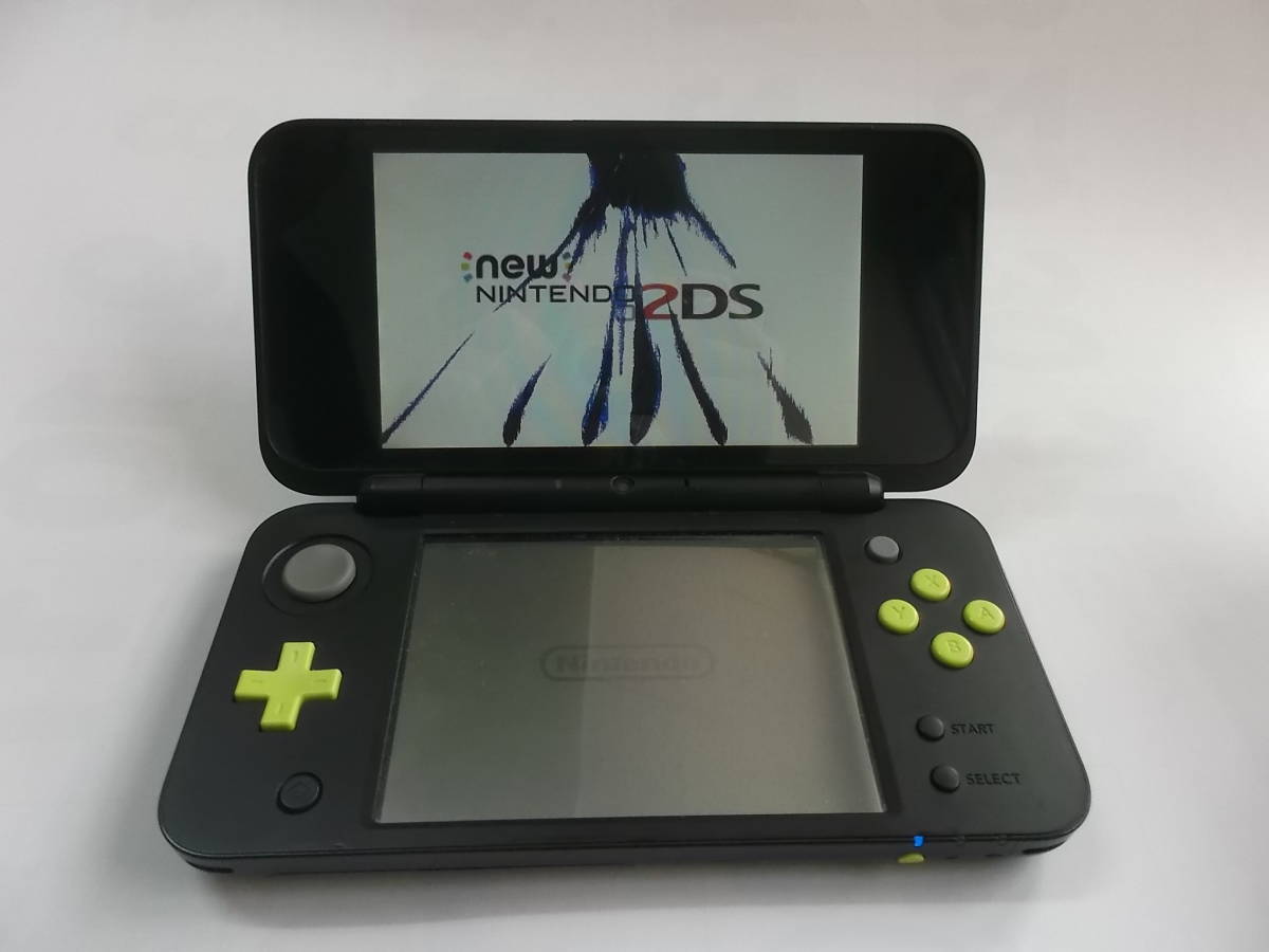 本体 レイ NEWNintendo2DSLL 