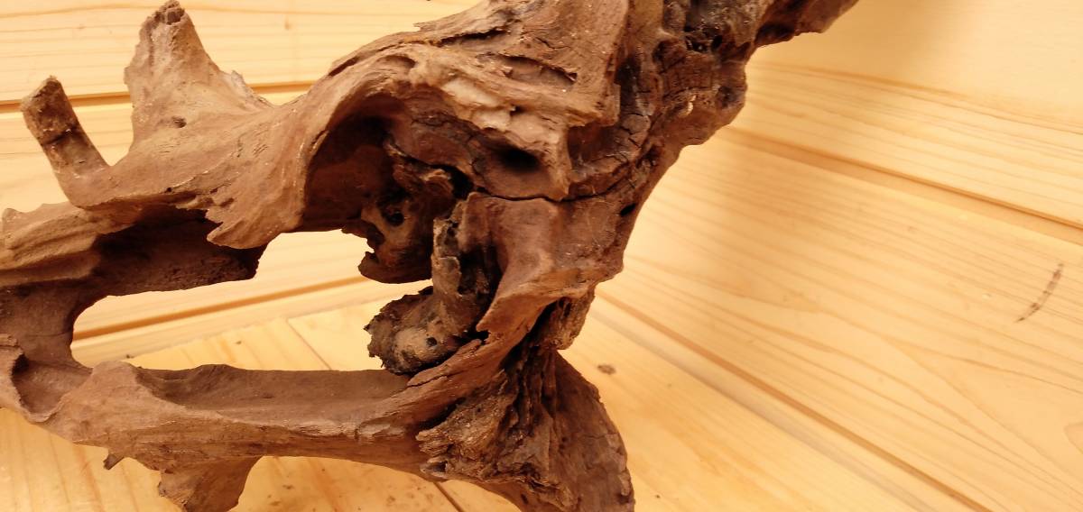 新品 68 原産国タイのマングローブ流木 39ｘ18ｘ10 アクアリュウム 水景レイアウト向きの アート流木 沈水確認済 の落札情報詳細 ヤフオク落札価格情報 オークフリー