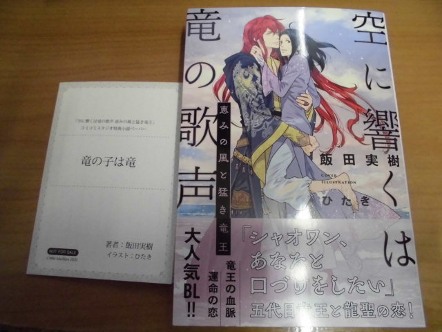 新刊 空に響くは竜の歌声 恵みの風と猛き竜王 飯田実樹 ｓｓペーパー の落札情報詳細 ヤフオク落札価格情報 オークフリー スマートフォン版