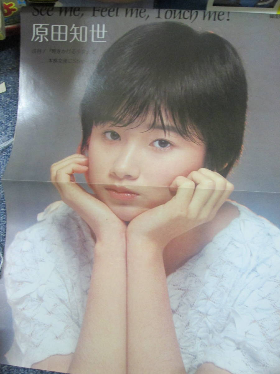 週刊プレイボーイ19 3 29 原田知世ピンナップ 表紙石田えりビキニ 坂上とし恵 三田寛子 キャシー リーン 石川裕美 の落札情報詳細 ヤフオク落札価格情報 オークフリー スマートフォン版