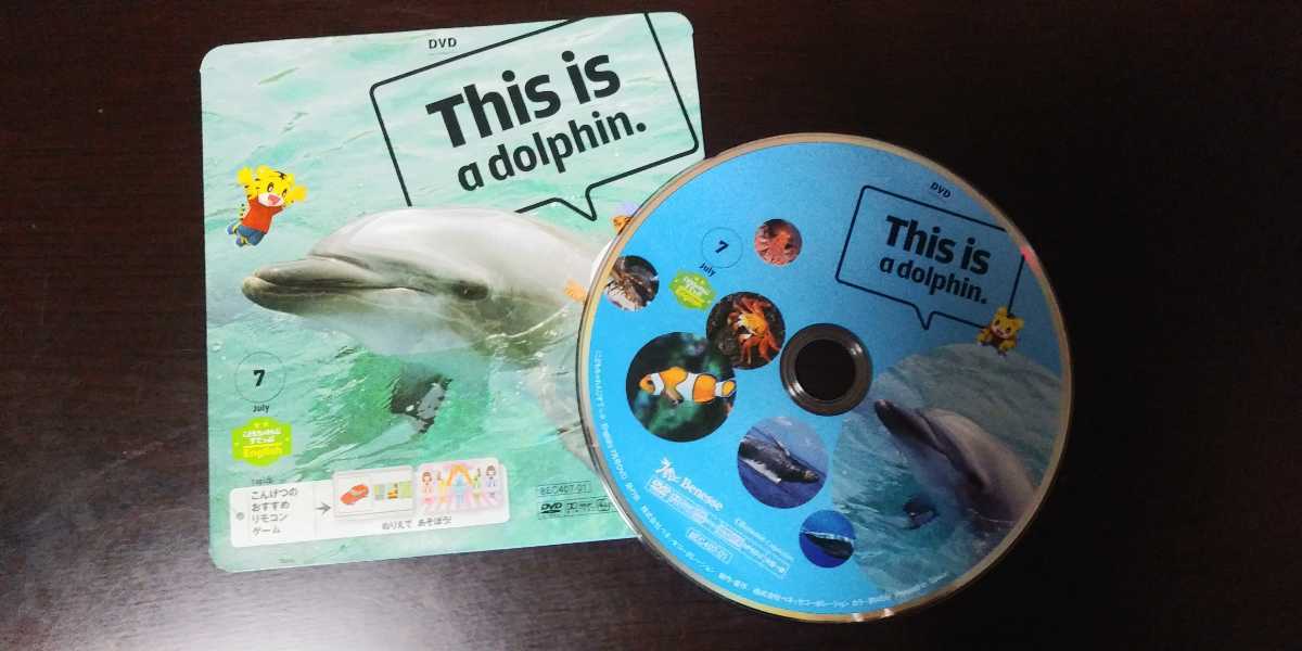 気質アップ 確認中 こどもちゃれんじ すてっぷ English Dvd Benesse 在庫限りッ アウトレット Bestcollege Co Za