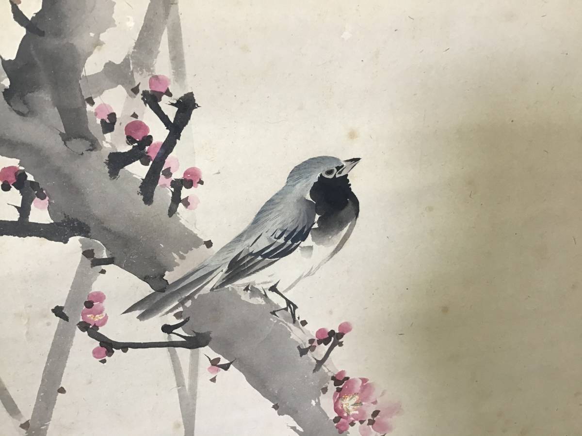☆岐阜発 掛け軸/玉峰画/梅花とうぐいす画/水墨画/詳細不明/木箱入り