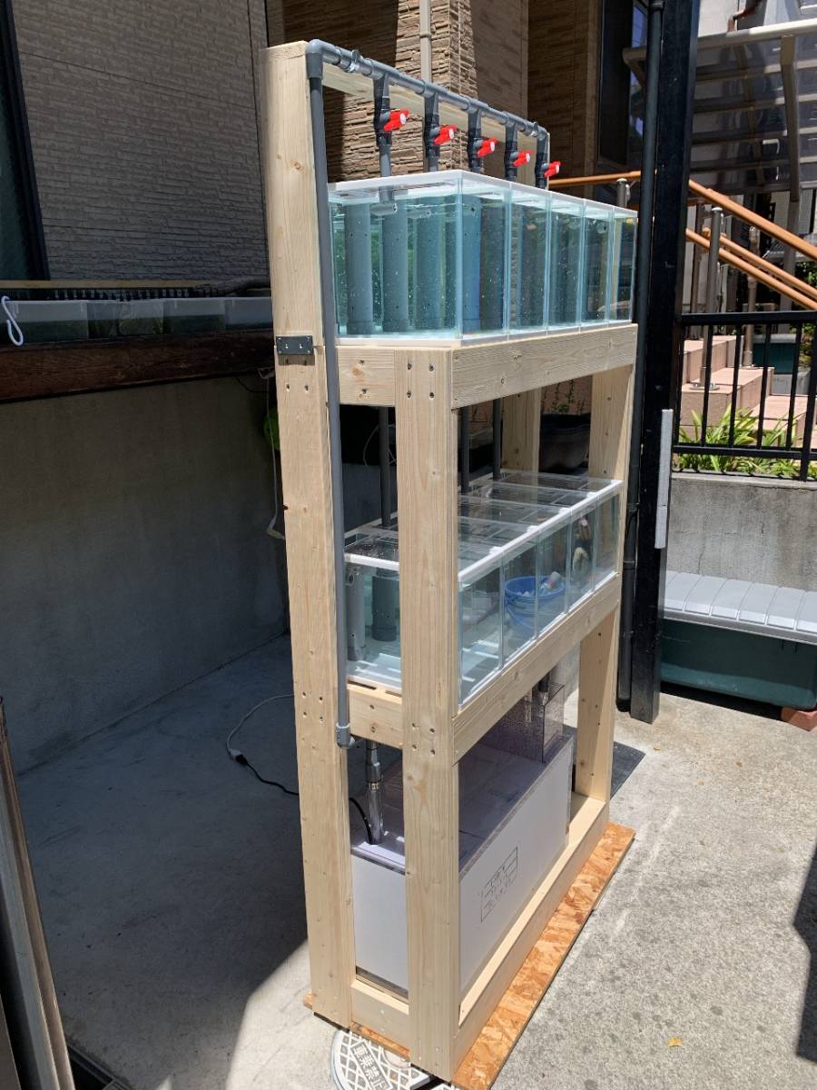 マンション水槽 オーバーフロー 集中濾過 メダカ プレコ