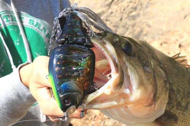 ワンスタイル フラワーホーン ルアマガ限定 ギル型ビッグベイトの落札