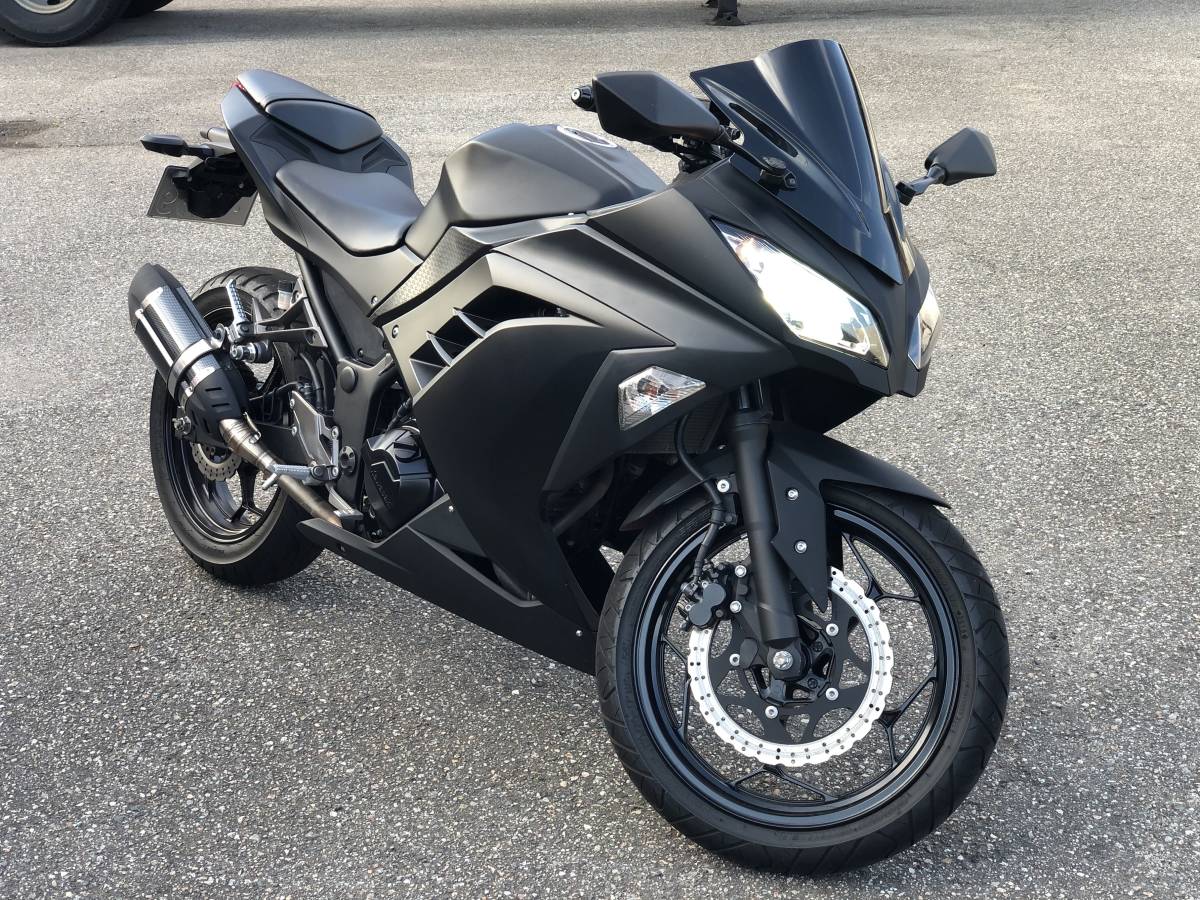 ニンジャ ex250l 走行16700キロ 外装良 16年式（カワサキ・ニンジャ 